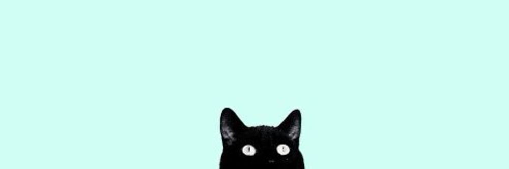 the_cats_mom OnlyFans profile picture