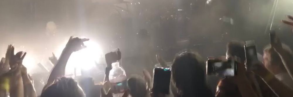 festivalgoerkid OnlyFans profile picture