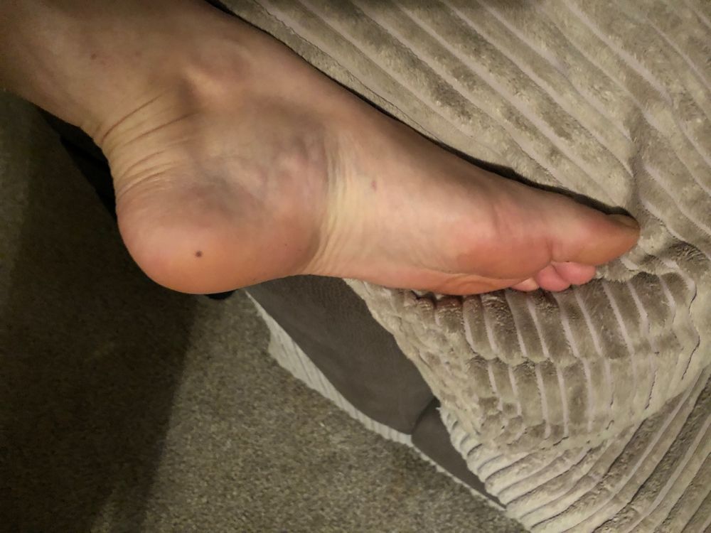 talola OnlyFans profile picture
