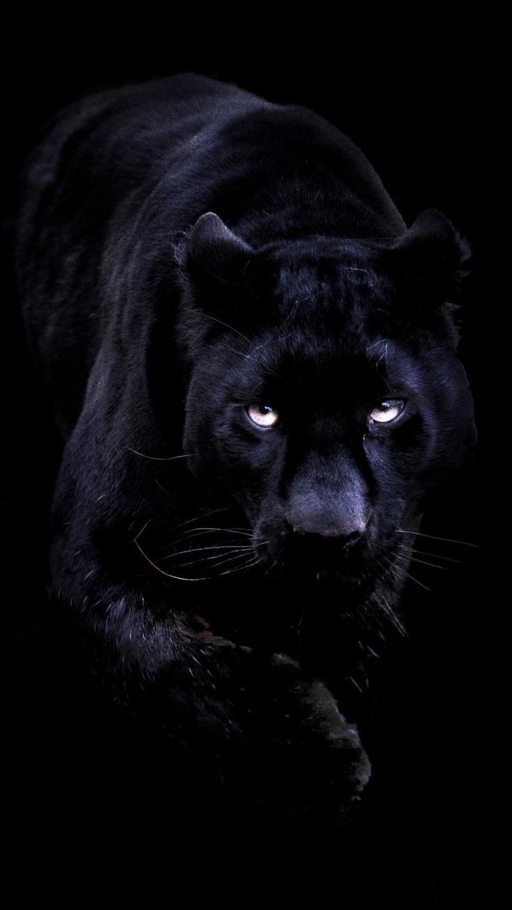 abelharainhabr OnlyFans profile picture