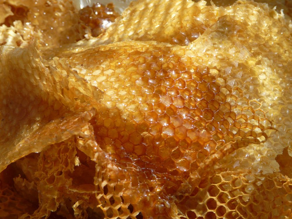 honeycuup OnlyFans profile picture
