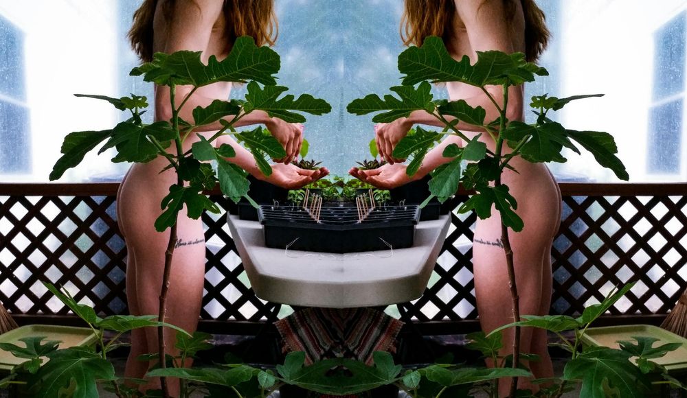 botanical_bxbe OnlyFans profile picture