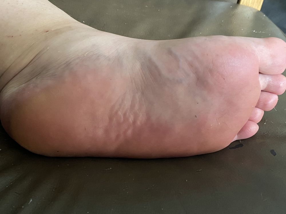 feetxxxfest OnlyFans profile picture