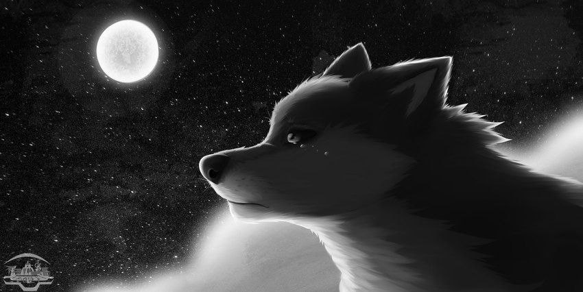 shadewuff OnlyFans profile picture