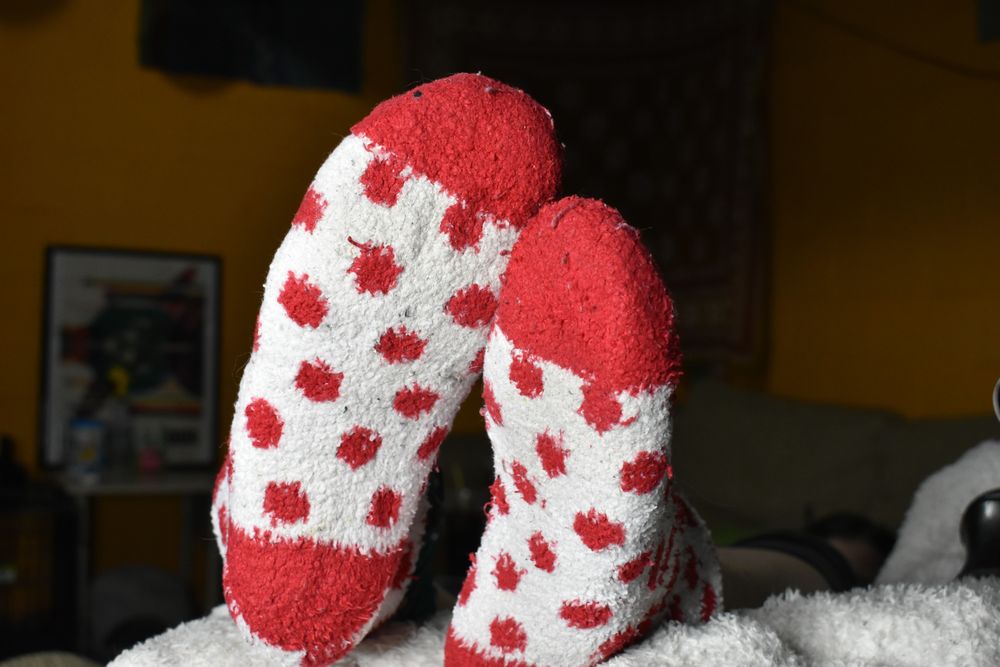 hippiemomsoles OnlyFans profile picture