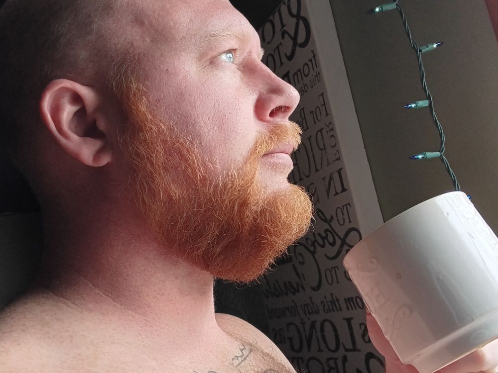 taylorhale OnlyFans profile picture