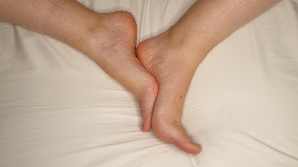 koala_toes OnlyFans profile picture