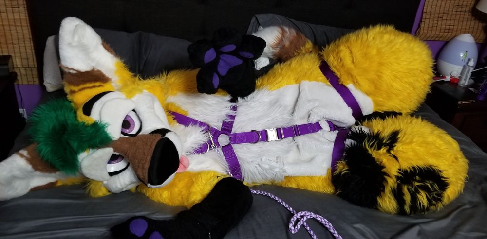 thepineapplefox OnlyFans profile picture