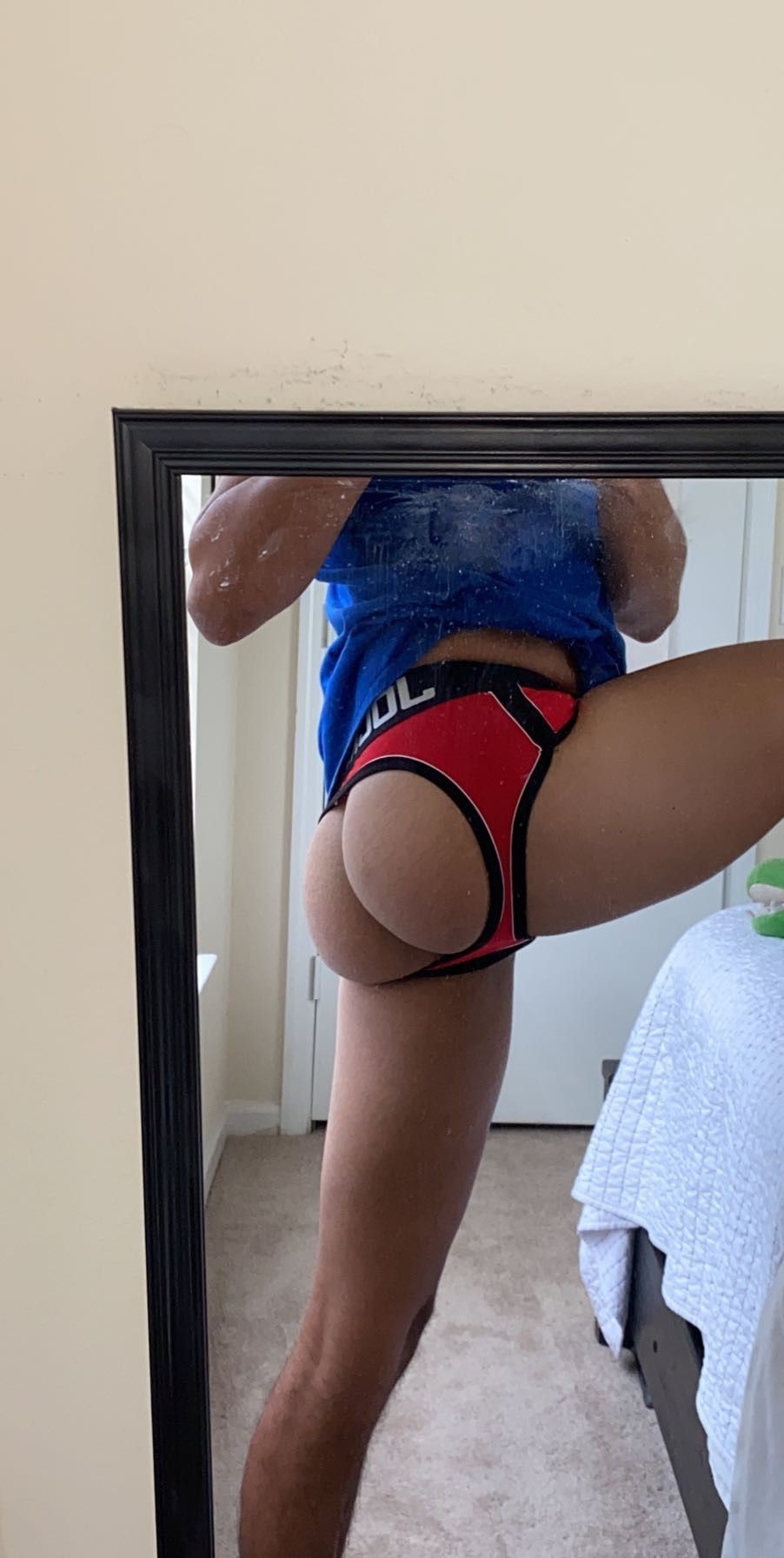 jimmytorrez OnlyFans profile picture