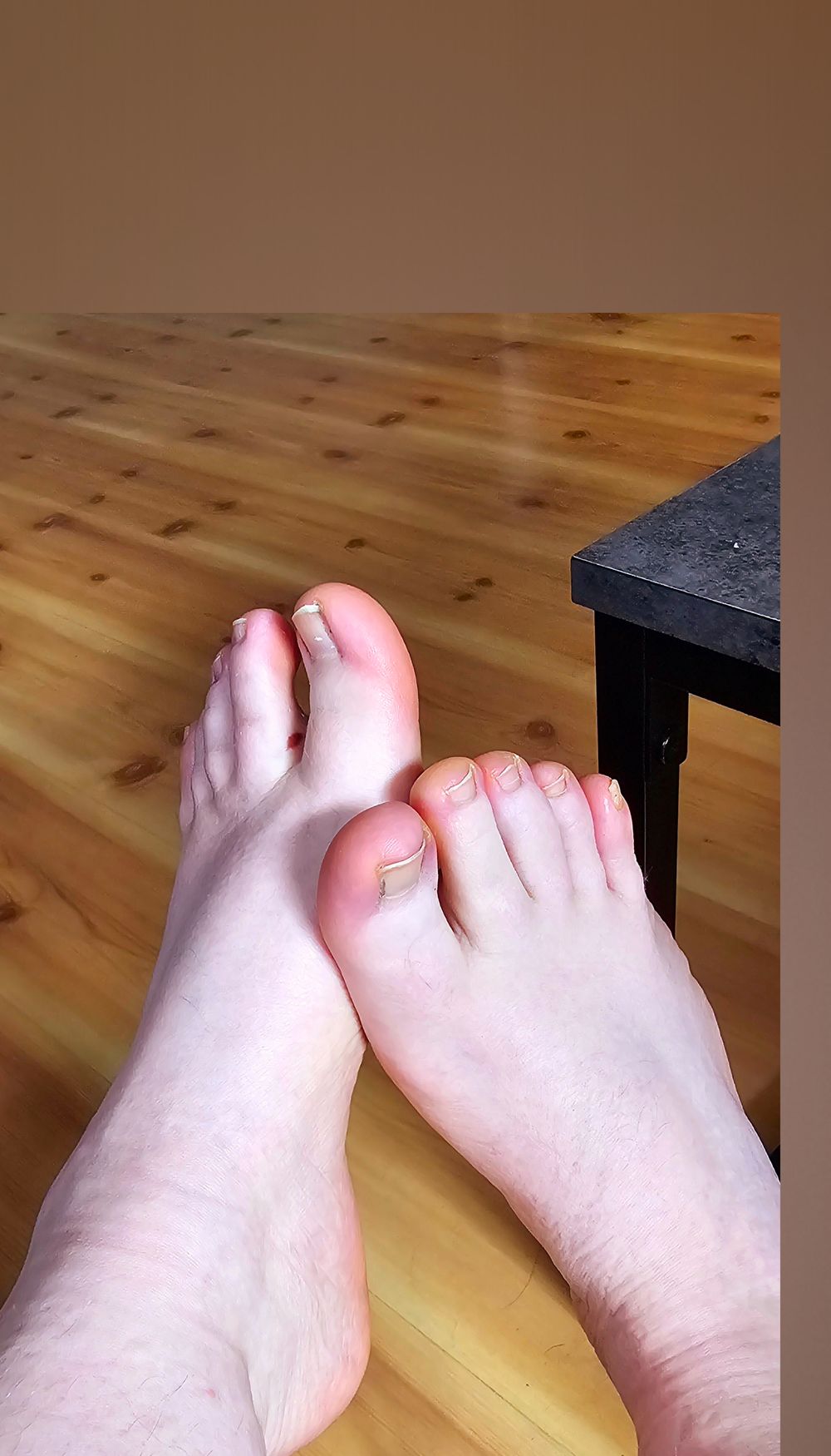 ella8pv OnlyFans profile picture