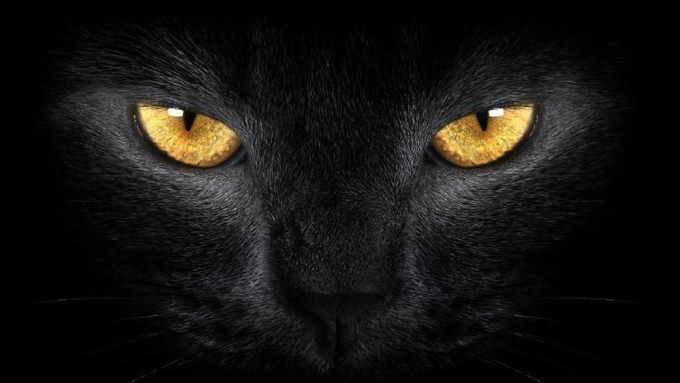 annia22 OnlyFans profile picture