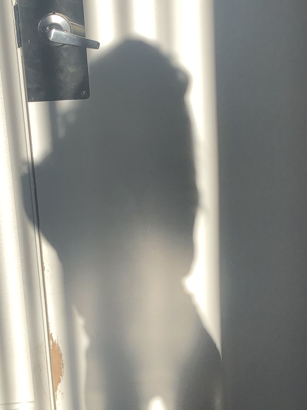 pumbies OnlyFans profile picture