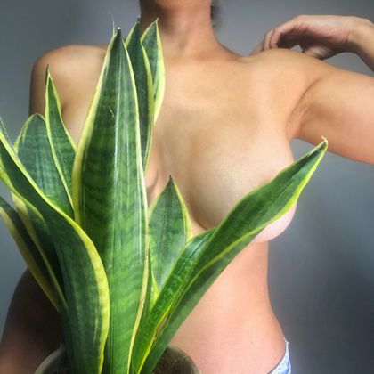 docentedebiologia OnlyFans picture