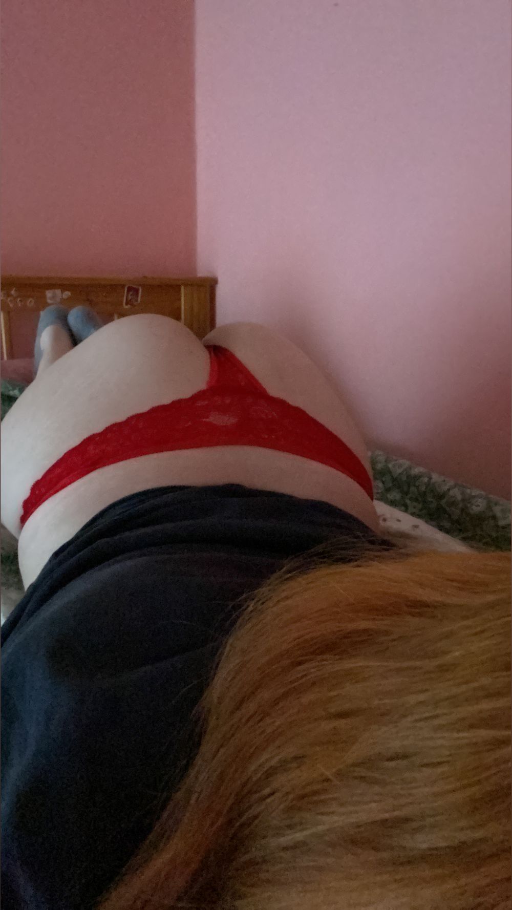 anniexlv OnlyFans profile picture