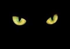 sexkitten669 OnlyFans profile picture