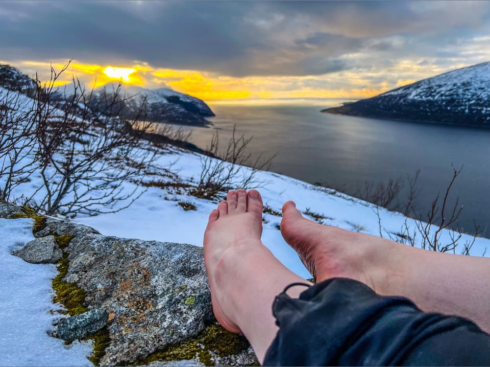 nordicfeet11 OnlyFans profile picture