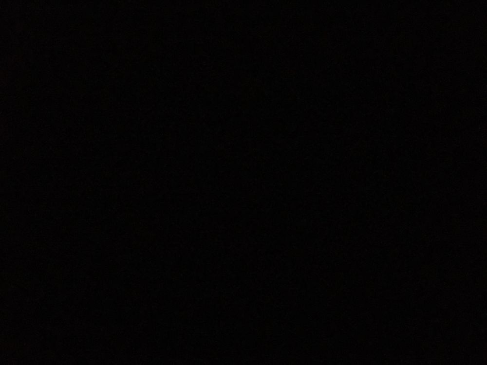 bosavage OnlyFans profile picture