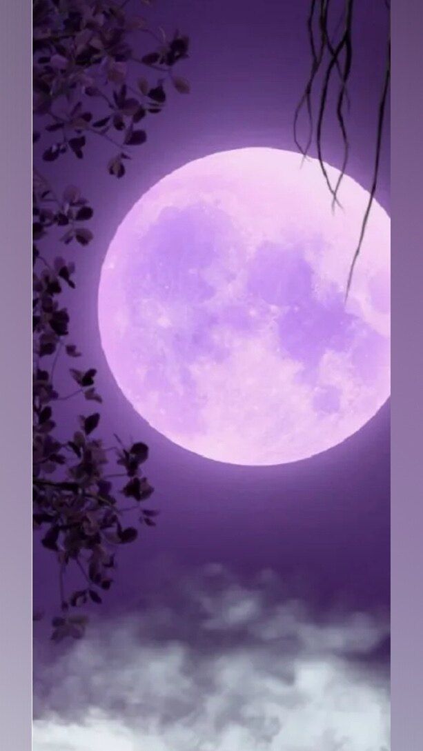 violetmoon2xo OnlyFans profile picture