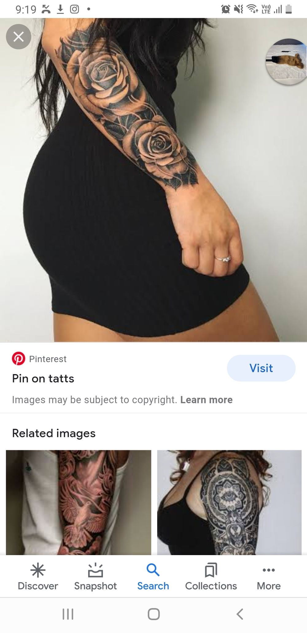 southsqueen OnlyFans profile picture