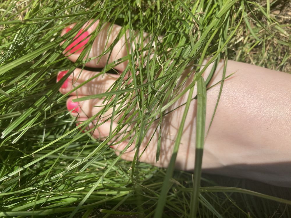 uglyduckfeet OnlyFans profile picture