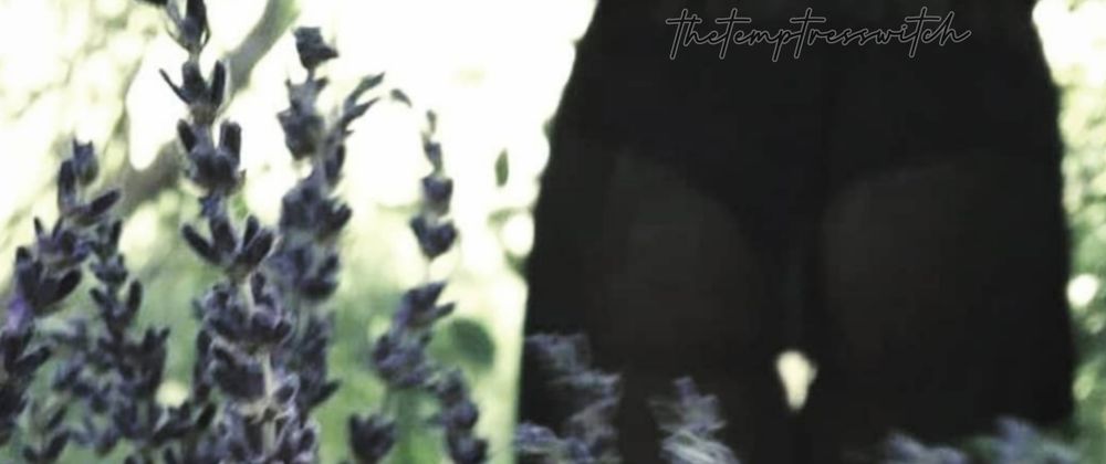 temptresswitchvip OnlyFans profile picture