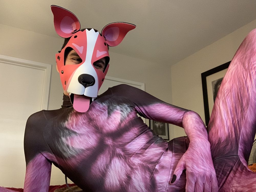 pupsylvee OnlyFans profile picture
