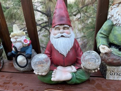 gnomely_fans OnlyFans picture